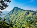 Hike Little AdamÃ¢â¬â¢s Peak Sri Lanka